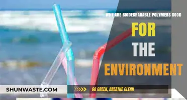 Biodegradable Polymers: Eco-Friendly Solutions for a Sustainable Future