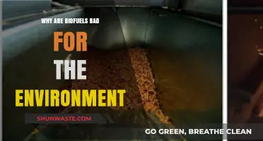 Biofuels' Hidden Costs: Environmental Impacts and Unsustainable Practices