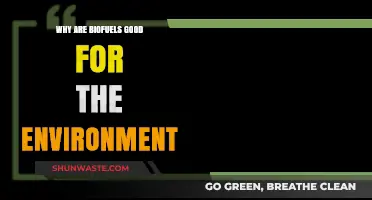 Biofuels: A Sustainable Solution for Greener Energy and Cleaner Air