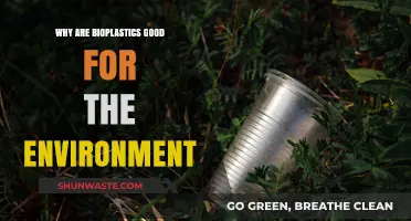 Bioplastics: Eco-Friendly Alternatives Reducing Pollution and Carbon Footprint