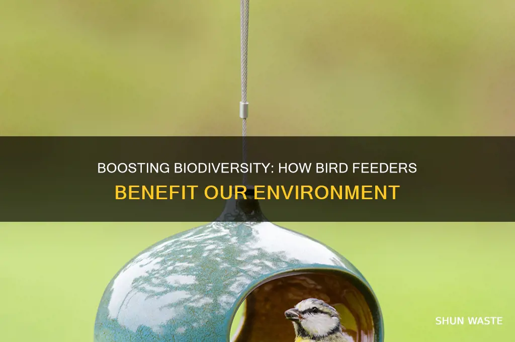 why are bird feeders good for the environment