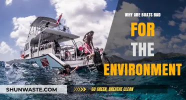 Boats' Environmental Impact: Pollution, Habitat Destruction, and Ecosystem Disruption Explained