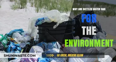 The Hidden Environmental Costs of Bottled Water Consumption