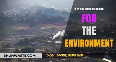 Brick Kilns' Environmental Impact: Pollution, Deforestation, and Climate Concerns