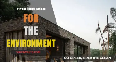 Bungalows' Environmental Impact: Uncovering Their Hidden Ecological Footprint