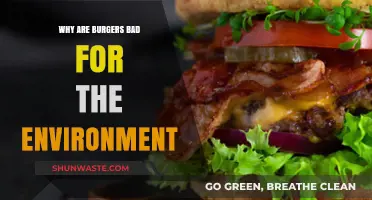 The Environmental Impact of Burgers: Uncovering Their Hidden Ecological Costs