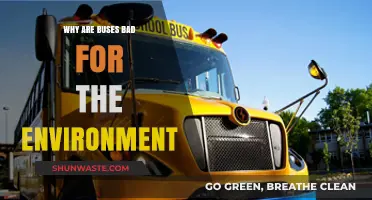Buses' Environmental Impact: Uncovering the Hidden Costs of Public Transit