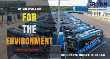 Eco-Friendly Transit: How Buses Reduce Carbon Footprints and Promote Sustainability