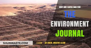 CAFOs' Environmental Impact: Pollution, Deforestation, and Climate Crisis Explained