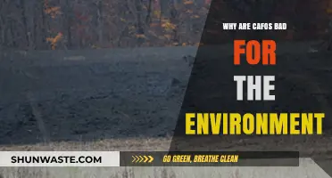 CAFOs' Environmental Impact: Pollution, Deforestation, and Climate Crisis Explained