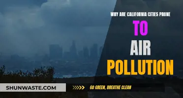 California Cities: Air Pollution's Perfect Storm
