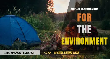 Campfires' Hidden Costs: Environmental Impacts and Sustainable Alternatives