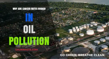 Oil Pollution and Cancer: Uncovering the Deadly Environmental Link