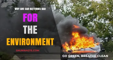 The Environmental Impact of Car Batteries: A Hidden Hazard