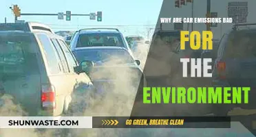 Car Emissions: Their Harmful Impact on Our Environment Explained