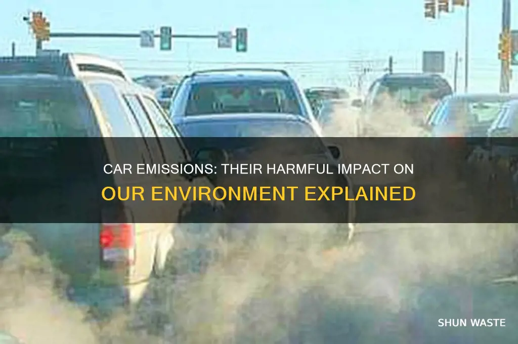 why are car emissions bad for the environment