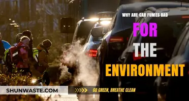 Car Fumes: Environmental Impact and Harmful Effects Explained