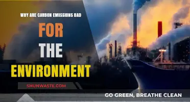 Carbon Emissions: Their Devastating Impact on Our Environment Explained