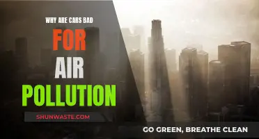 Cars: Air Pollution's Worst Enemy