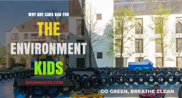 Cars and Kids: Understanding Environmental Impact of Vehicles