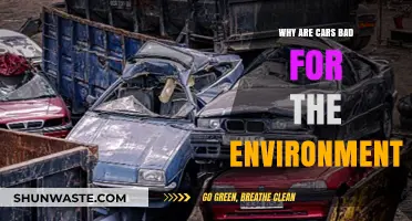 Cars' Environmental Impact: Pollution, Emissions, and Sustainable Alternatives Explained