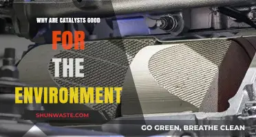 Catalysts: Eco-Friendly Heroes Reducing Emissions and Boosting Sustainability