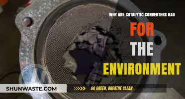 Catalytic Converters' Hidden Environmental Impact: Uncovering the Ecological Downsides