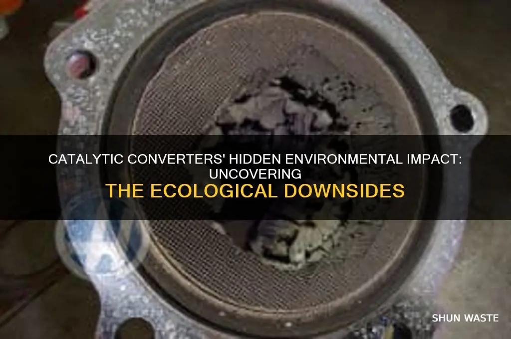 why are catalytic converters bad for the environment