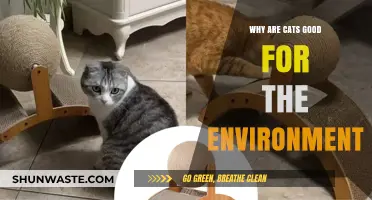 Eco-Friendly Feline Friends: How Cats Benefit Our Environment