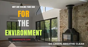 Ceiling Fans' Hidden Environmental Impact: Energy Use and Sustainability Concerns