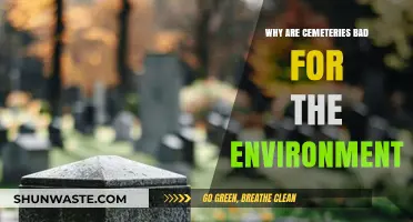 Cemeteries' Environmental Impact: Uncovering the Hidden Ecological Costs