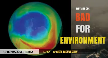 CFCs and the Environment: Uncovering Their Harmful Impact on Our Planet
