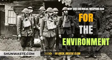 Chemical Weapons' Devastating Environmental Impact: A Global Ecological Crisis