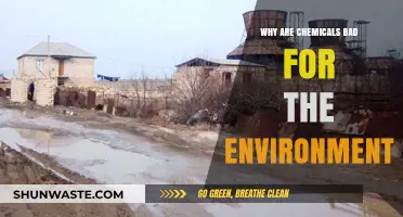 Harmful Chemicals: Their Devastating Impact on Our Fragile Environment