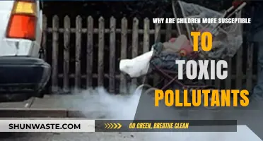 Children's Vulnerability: Uncovering the Risks of Toxic Pollutants