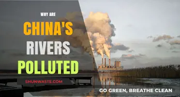 China's River Pollution Crisis: Causes, Impacts, and Urgent Solutions