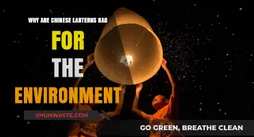 The Hidden Environmental Hazards of Traditional Chinese Lanterns