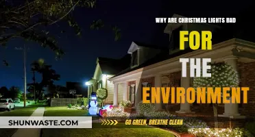 The Environmental Impact of Christmas Lights: A Festive Concern