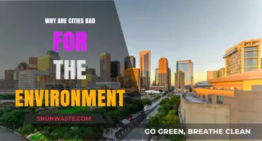 Urban Environmental Impact: How Cities Harm Our Planet's Health