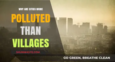 Urban Pollution Crisis: Why Cities Suffer More Than Villages