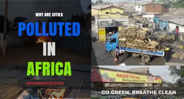Urban Pollution Crisis: Unraveling Africa's City Environmental Challenges