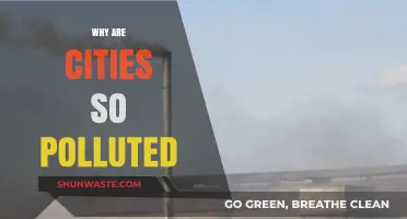Urban Air Crisis: Uncovering the Root Causes of City Pollution