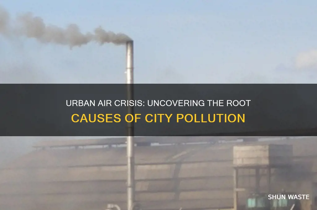 why are cities so polluted
