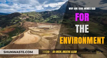 Coal Mines' Devastating Environmental Impact: Pollution, Destruction, and Climate Crisis