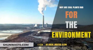 Coal Plants' Environmental Impact: Pollution, Climate Change, and Ecosystem Destruction