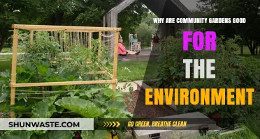 Community Gardens: Nurturing Ecosystems, Reducing Waste, and Greening Urban Spaces