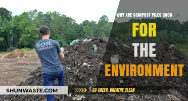 Compost Piles: Eco-Friendly Solutions for Reducing Waste and Enriching Soil