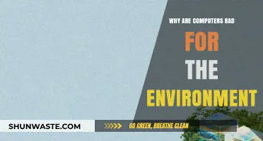 The Hidden Environmental Cost of Our Digital Computer Age