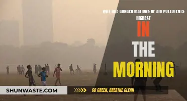Air Pollution: Morning Peaks and Their Causes