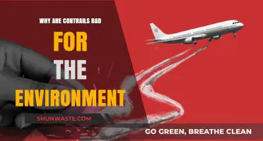 Contrails' Climate Impact: Uncovering Aviation's Hidden Environmental Threat